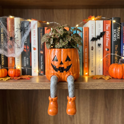 SpookyPots™ - Planters